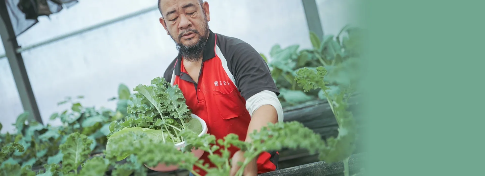 愛某卡多農場主人與參訪家庭